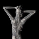 360 Anatomy for Artists HD Female Figure