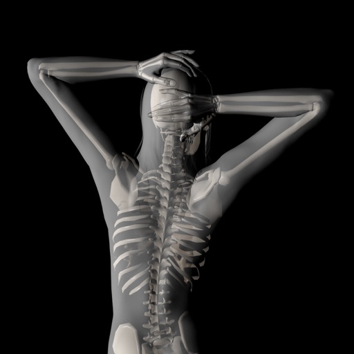360 Anatomy for Artists HD: Female Figure