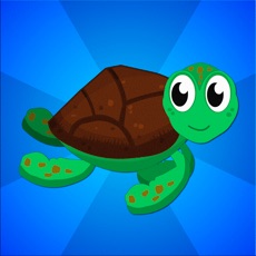 Activities of Tartaruga Luck