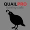 Quail calls with quail sounds perfect for quail hunting