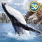 Ocean Whale Simulator: Animal Quest 3D