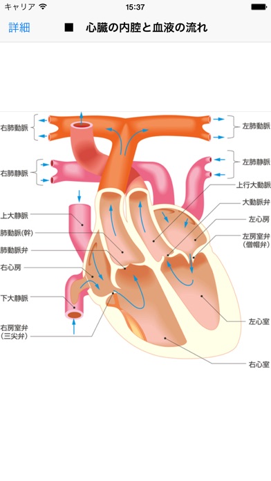 法研 六訂版 家庭医学大全科 screenshot1