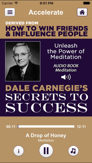 Dale Carnegie’s Secrets To Success derived from, How To Win Friends and Influence People: Teachings on Acquiring Friends, Wealth, Wisdom and Success an Audiobook Meditation Learning Program by Hero Universe Screenshot 2
