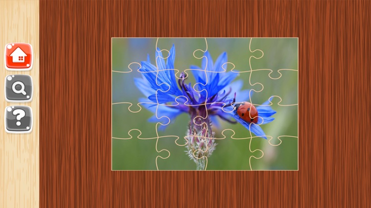 Flower Jigsaw Puzzle learning For Kids & Toddler screenshot-3