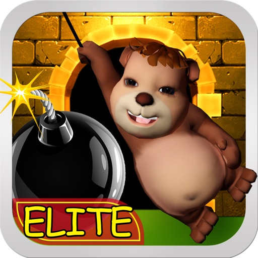 Puzzle Escape Elite Icon