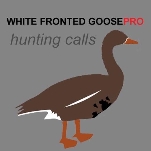 White Fronted Goose Call & Goose Sounds icon