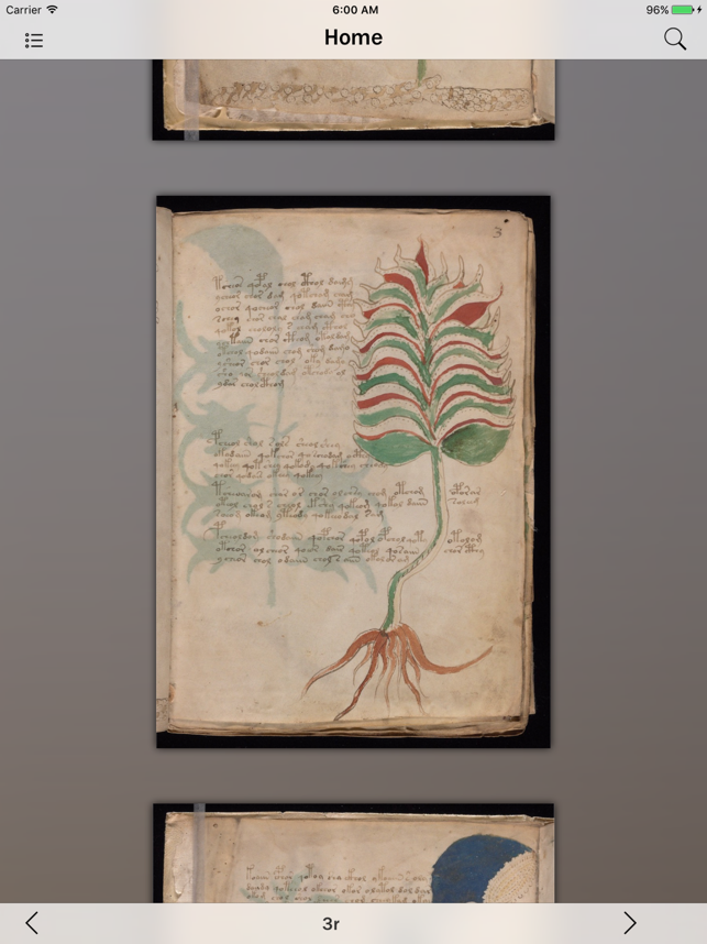 Voynich Manuscript Guide Screenshot