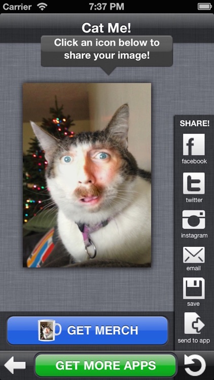 Cat Me Pro screenshot-3