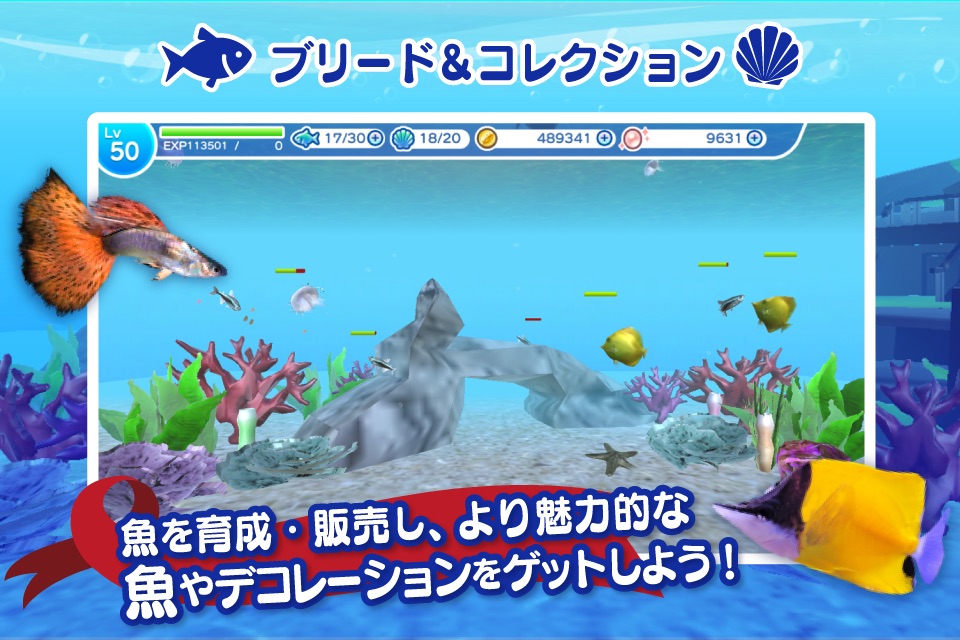 まったり癒し系無料アプリ - MyAquarium3D - screenshot 2