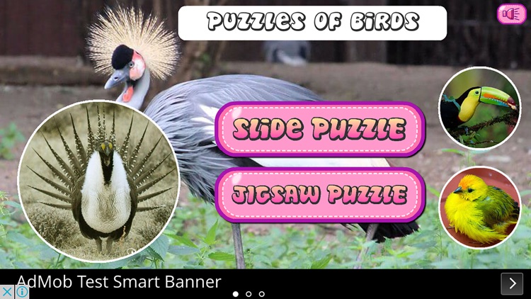 Puzzles of Birds Free