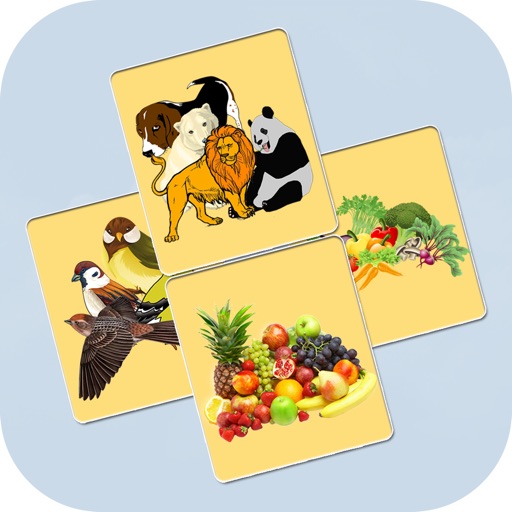 Find Pair - Vocabulary Based Card Matching Game Icon