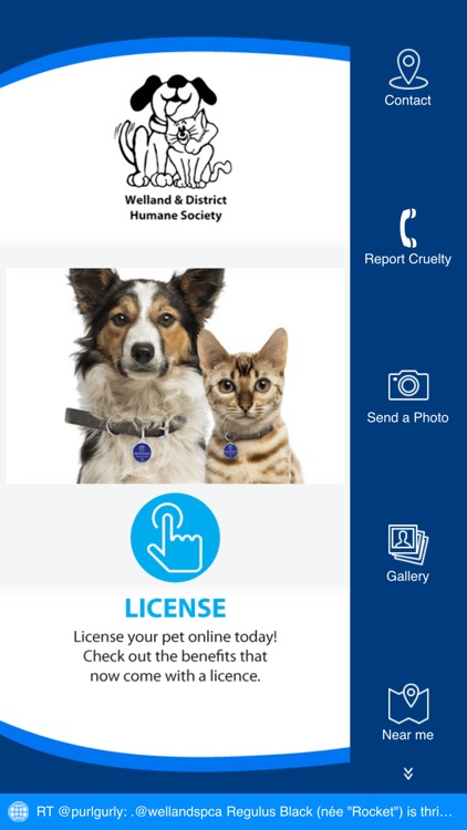 Welland & District SPCA