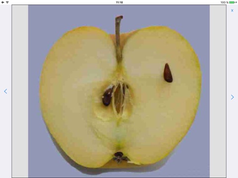 PomIdent - Apfelbestimmungshilfe screenshot 3