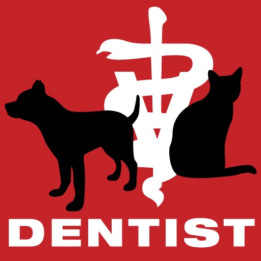 Dog & Cat Dentist
