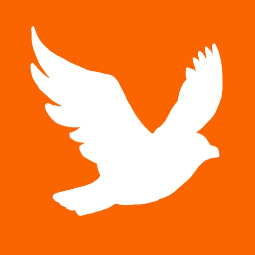 Fly Easy - Vacation Deals, Cheap Flights & Hotels, Last Minute Travel Deals & Airline Tickets