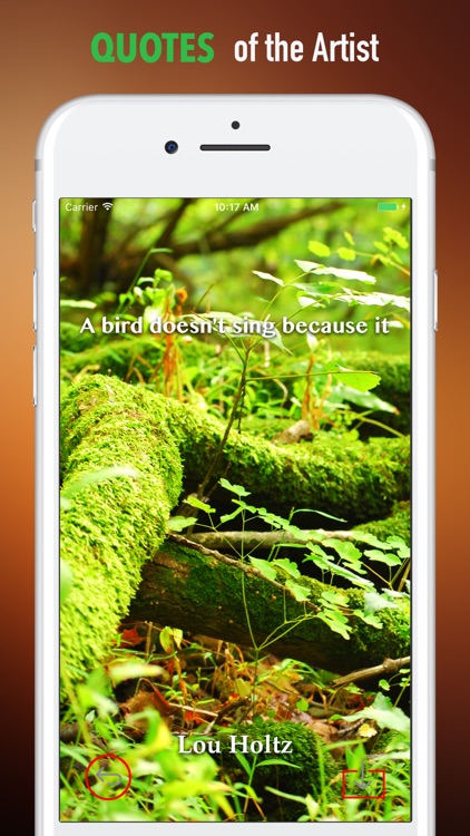 Moss Wallpapers HD- Quotes and Art Pictures screenshot-3