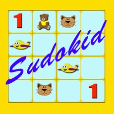 Activities of Sudokid