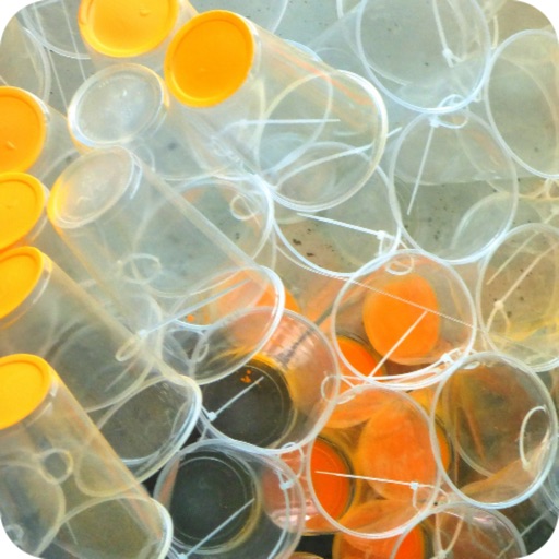 Directory of plastics