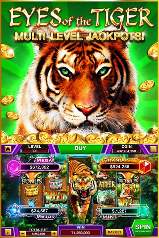 Casino Video Slots screenshot 2