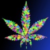 3D Weed Wallpapers HD: Quotes