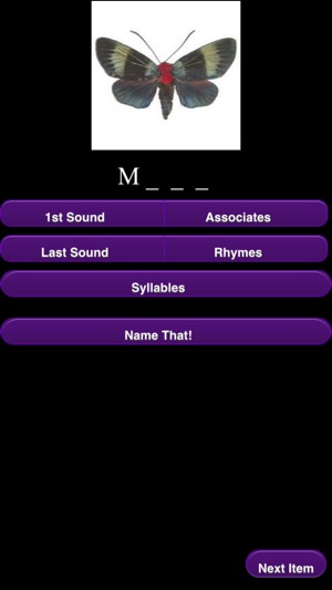 Name That! Phonological Edition(圖1)-速報App