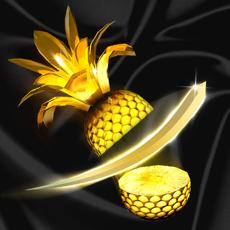 Activities of Fruit Master - Samurai Slicing