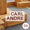 Carl Andre exhibition