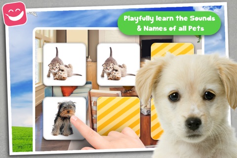 Memory Game Pets for kiddos, grandkids and toddler screenshot 2