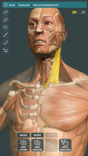 Visual Anatomy 3D | Human(圖1)-速報App