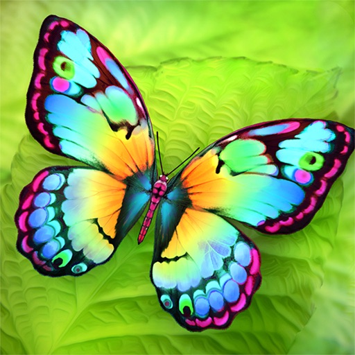 Paint Me a Butterfly! iOS App