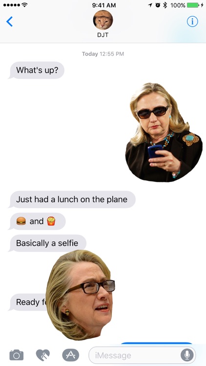 Hillary Sticker Pack