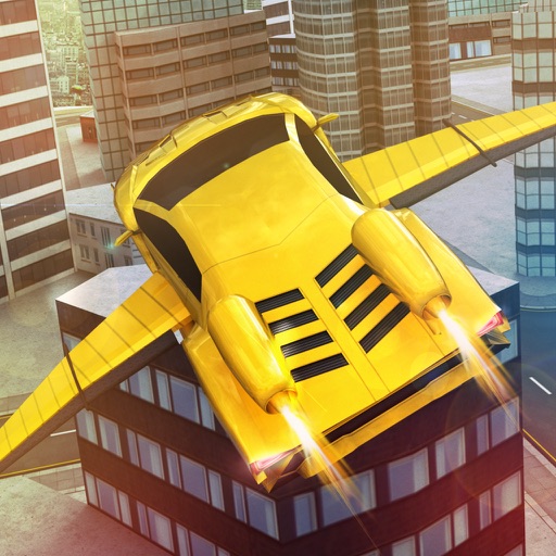 Free Sports Flying Racing Car Simulator Icon