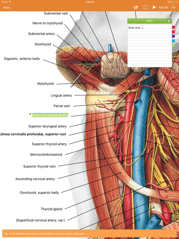 Sobotta Anatomy Atlasのおすすめ画像2