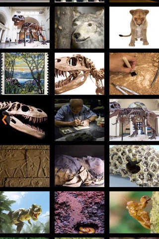 Field Museum Natural History screenshot 4