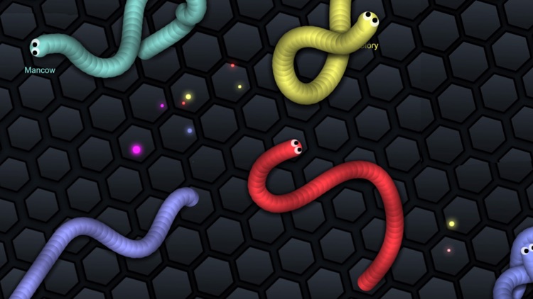Snake Slither Go Chase - Frontier Battle with Worm