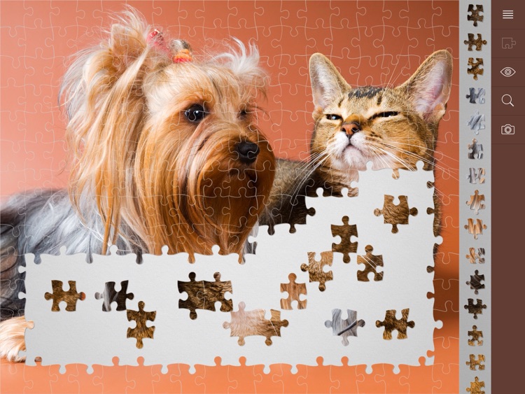 My Jigsaw Puzzles screenshot-4