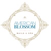 AmericanBlossom