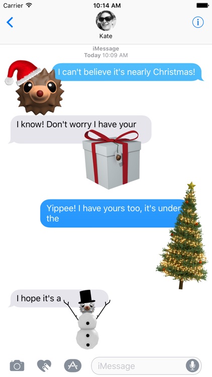 HedgeHoger Heads Christmas Stickers screenshot-4