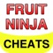 Pro Cheats - Fruit Ninja Edition, Including Guide