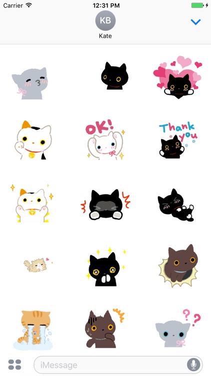 Stupid Cat Animated Stickers