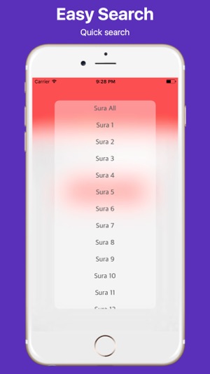 Chinese Quran and Easy Search(圖4)-速報App