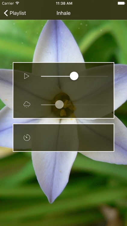Pranic Healer Music 7 Chakras Vibrational Healing screenshot-3
