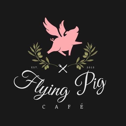 Flying Pig To Go icon