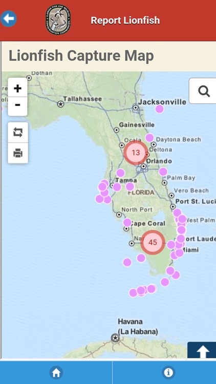 Report Florida Lionfish