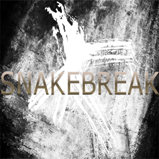 Snake Break Original Icon
