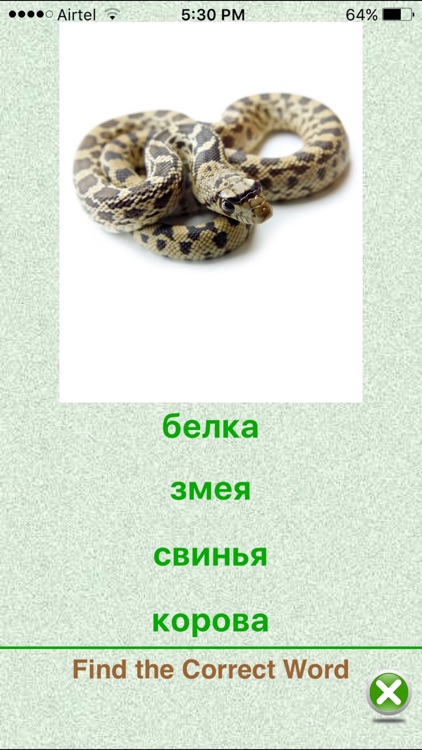 Flashcards Russian Lesson screenshot-3