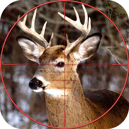 Deer Sniper Hunter 2016 iOS App