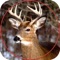 Deer Sniper Hunter 2016
