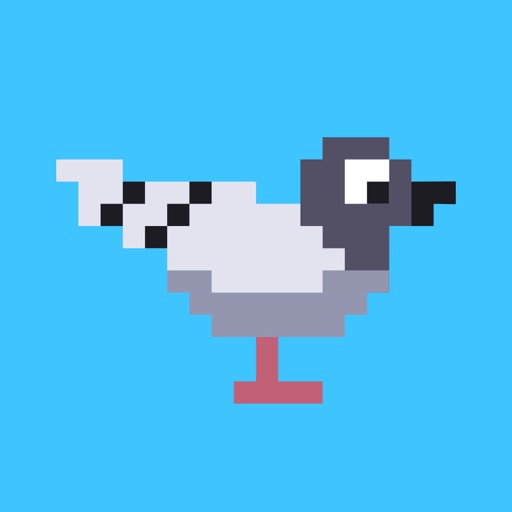 Pooping Pigeons Icon