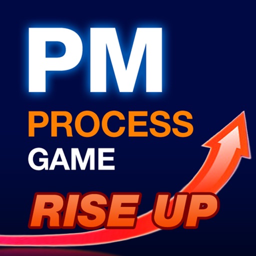 PM Process Game icon